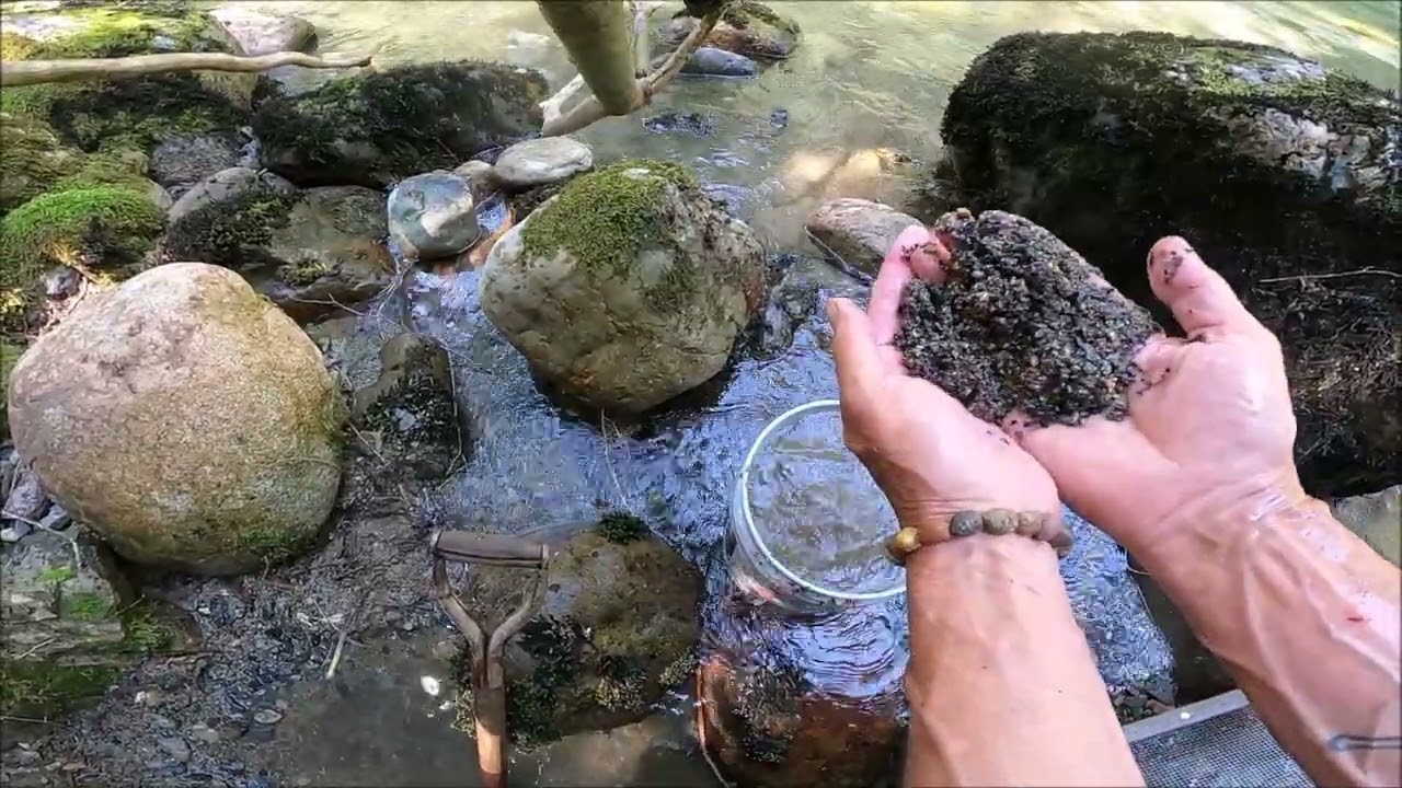 Gold Panning Washington State