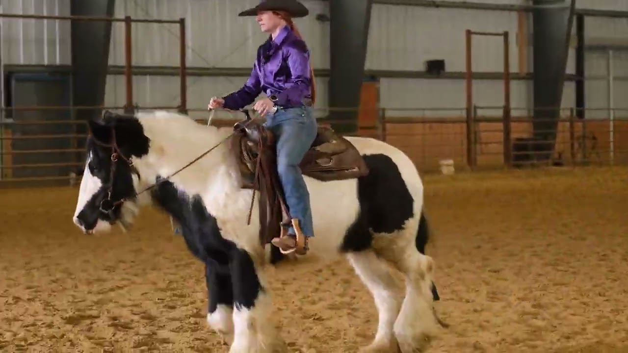 Does Your Horse Have Body Control?