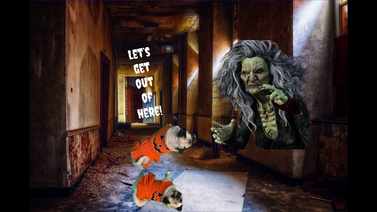 The Pug Dogs  & the Haunted House- A Halloween Story