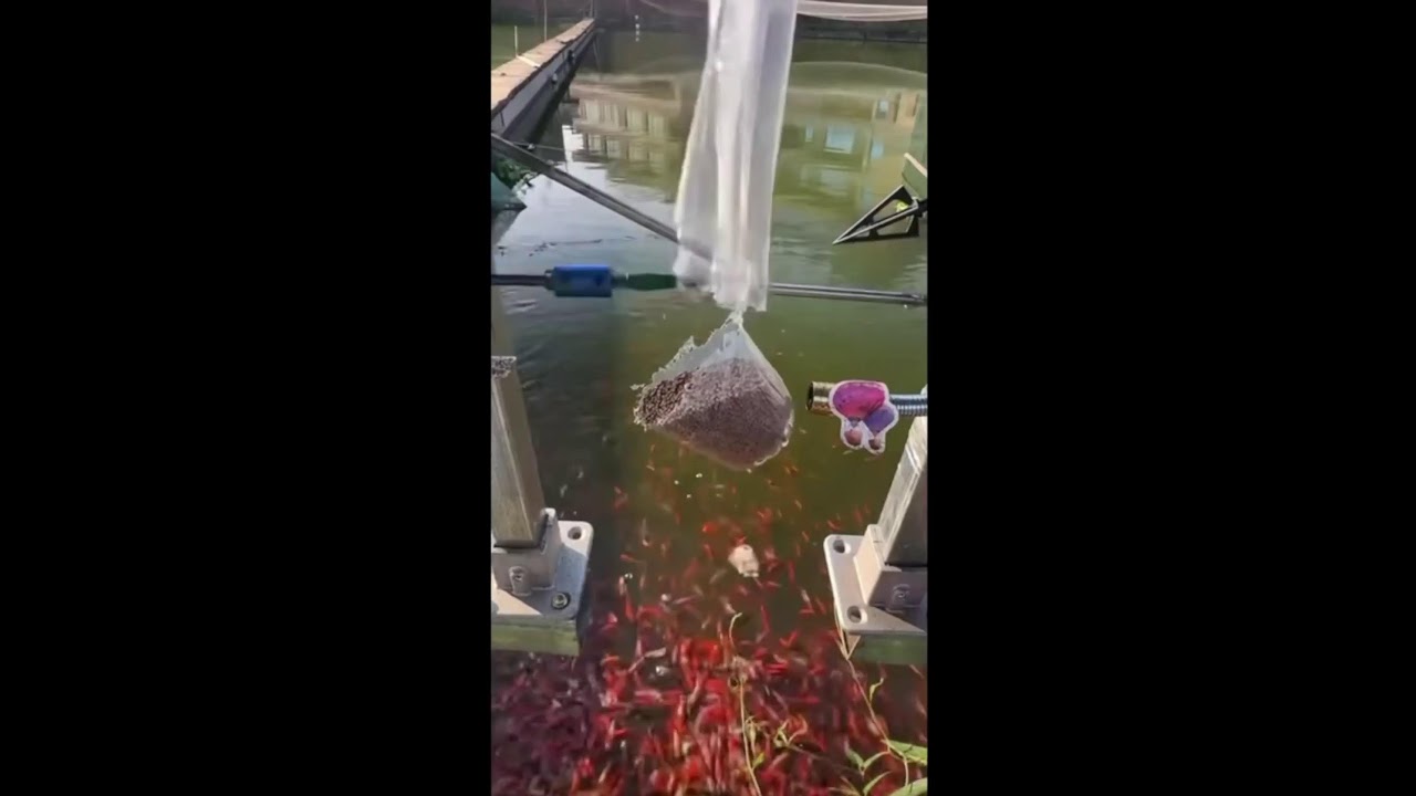 Ловим X1000 на прямом эфире, залетай на эфир, у меня весело!!!