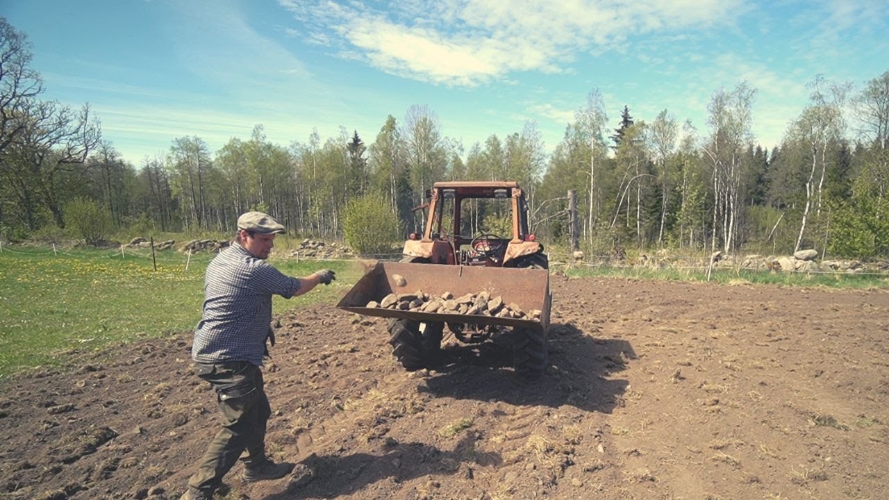 Plockar klart stenen och grillar!