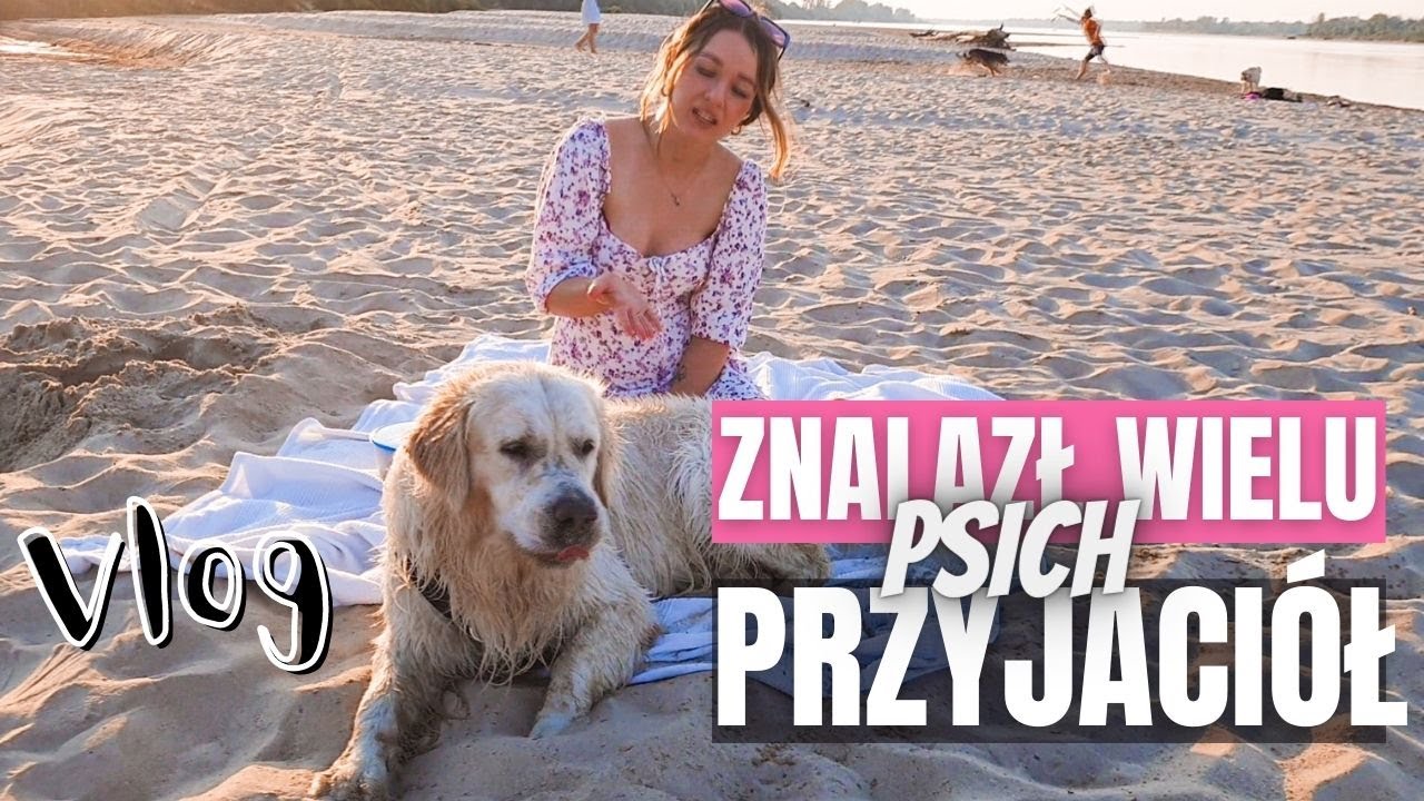 Pies MA LEPSZĄ DIETĘ NIŻ JA | Jedziemy na plażę!