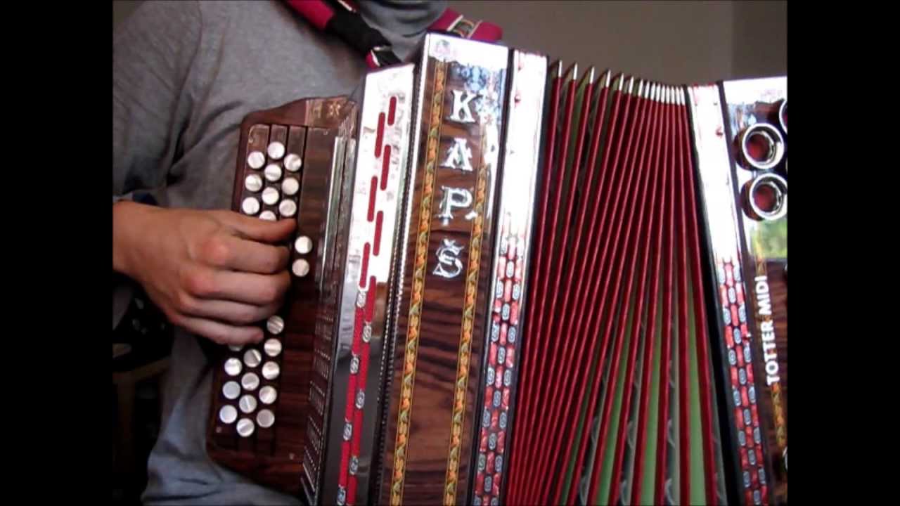 Veseli Ribnčan (A. Blumauer), Jernej Pikel, diatonična harmonika