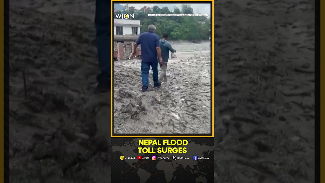 Nepal Flood Crisis: Death Toll Surpasses 1,100 | WION Shorts