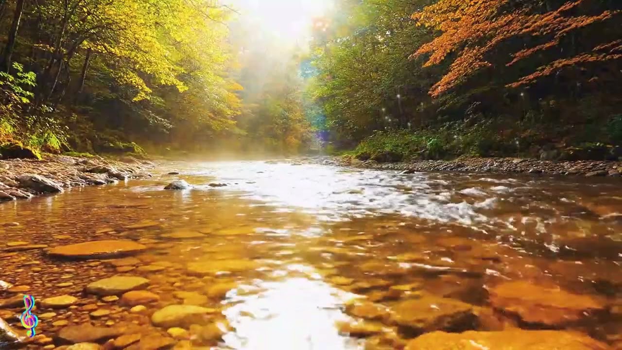 Sanftes Flussrauschen & Lo-Fi Musik 🌙 | 3 Stunden 12 Minuten Naturgeräusche zum Einschlafen