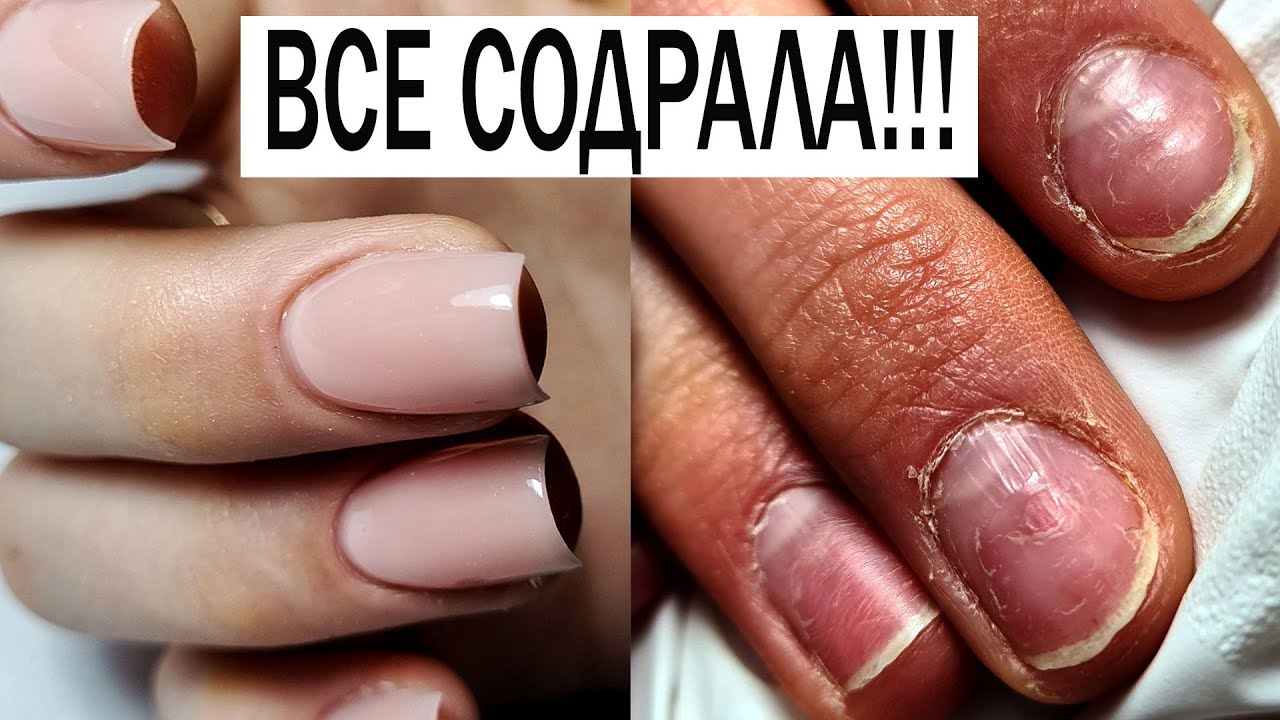 клиентка все СОДРАЛА