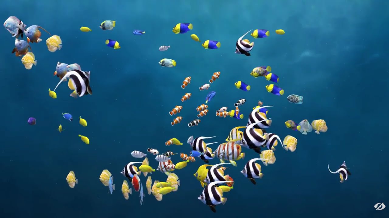 Zen Aquarium 19 - The Great Blue - 100 fish