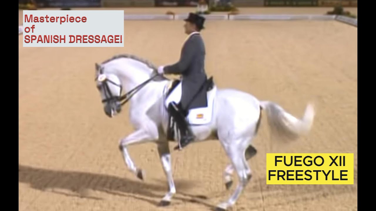 Fuego XII’s Unforgettable Freestyle The Horse That Made the World Cry