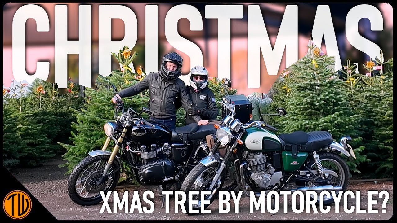 Christmas Tree Shopping by Motorcycle? | Triumph n Mash