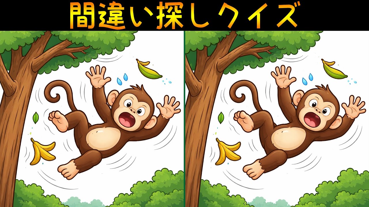 【間違い探し】シニアの脳トレに最適！今日の挑戦3問