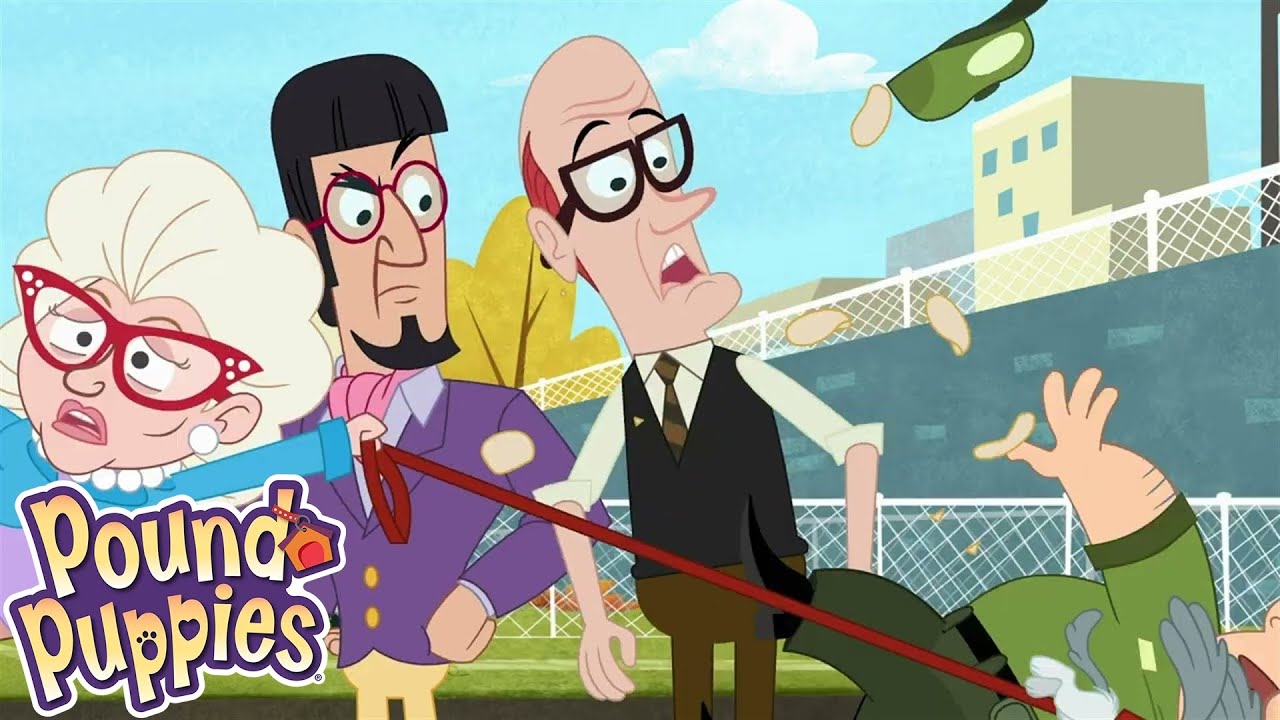 Pound Puppies | My Fair Rebound | Season 1 | Pet Cartoon