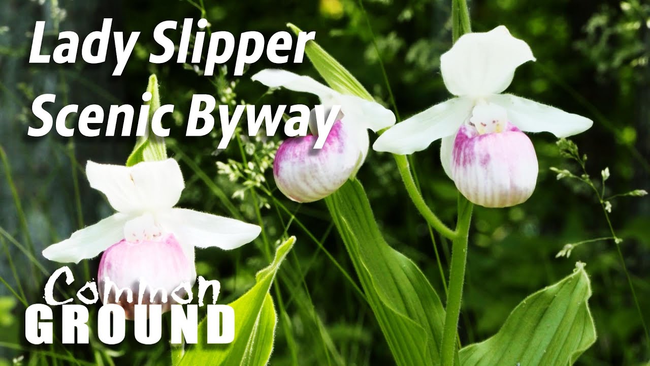 Common Ground 1511: Lady Slipper Scenic Byway Committee
