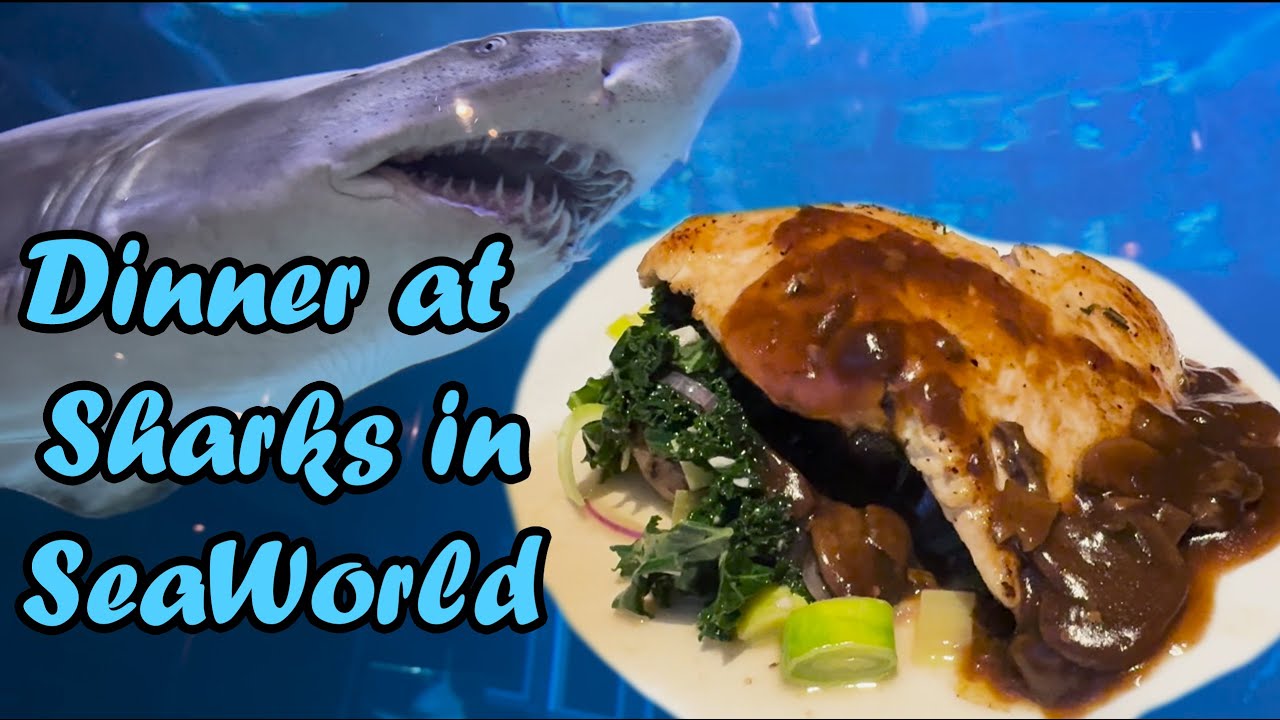 Sea World: Sharks Underwater Grill Review