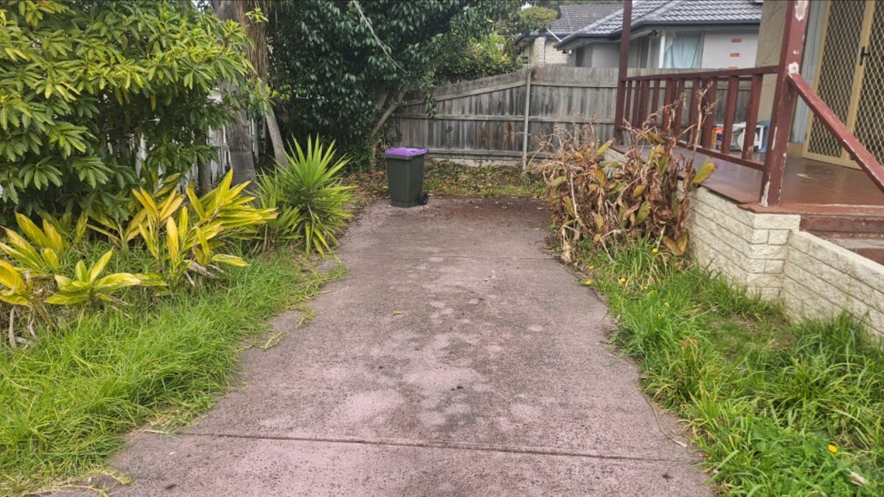 Front yard COMPLETE! I'm scared to tackle the BACKYARD...you'll see WHY!