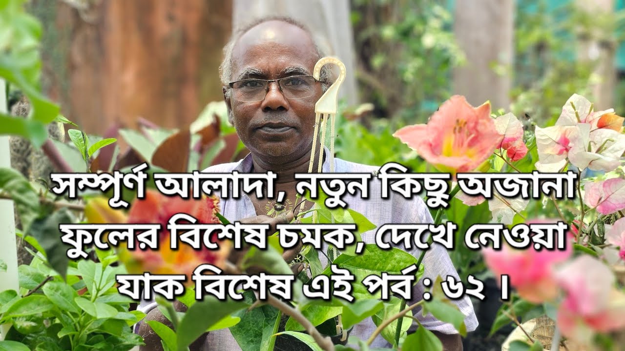 সম্পূর্ণ আলাদা, নতুন কিছু অজানা ফুলের বিশেষ চমক, দেখে নেওয়া যাক বিশেষ এই পর্ব : ৬২ ।
