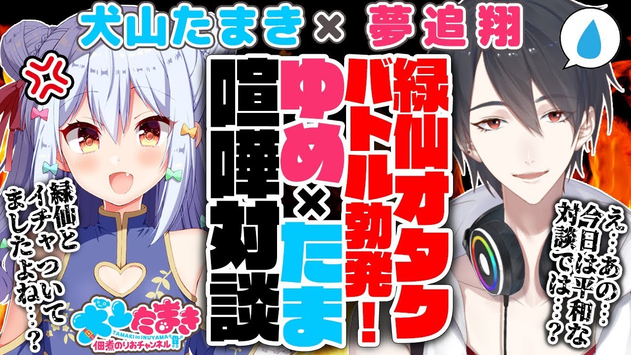 【夢追翔】緑仙オタクバトル勃発ってマジ！？ゆめ×たまガチ喧嘩対談!!【犬山たまき】#ゆめたま