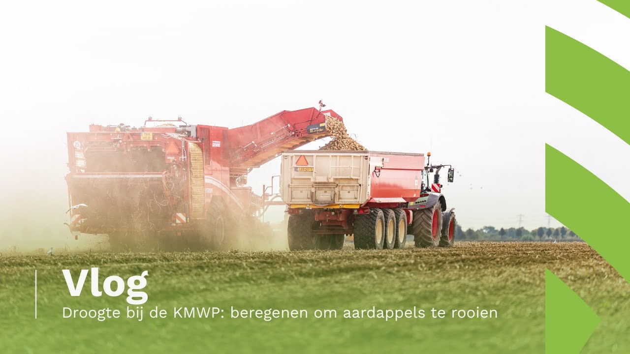 VLOG | Droogte bij de KMWP: beregenen om aardappels te rooien