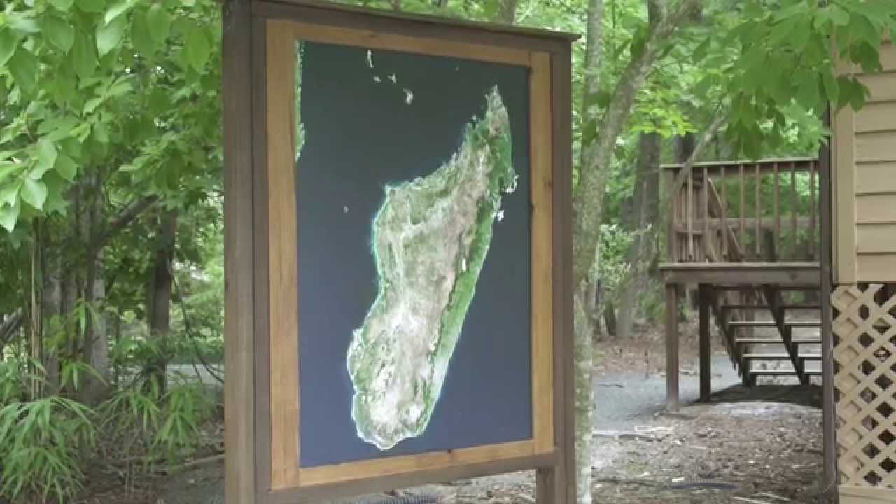 Jennie's sabbatical: Duke Lemur Center