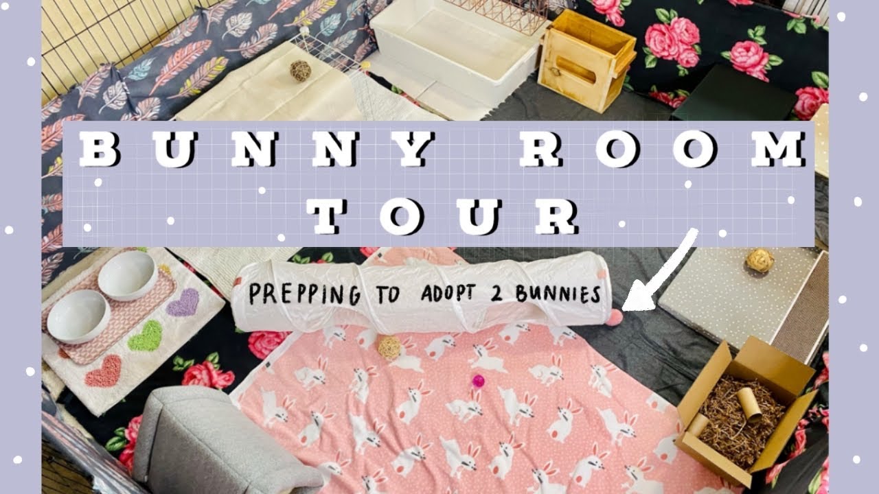 BUNNY ROOM TOUR| how to set up a rabbit pen + prepping to take your bunny home