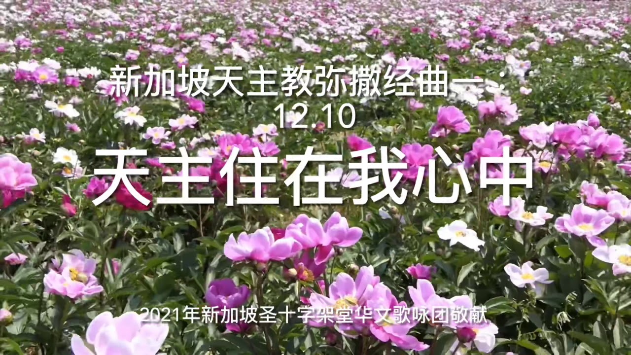 天主住在我心中