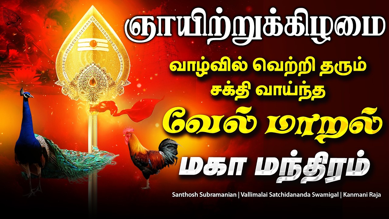 🔴LIVE | வியாழக்கிழமை கேட்க வேண்டிய மிகவும் சக்தி வாய்ந்த வேல் மாறல் மகா மந்திரம் VEL MAARAL