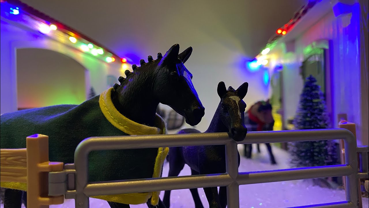 1 day jule kalender/ Barn Tour dansk schleich kanal