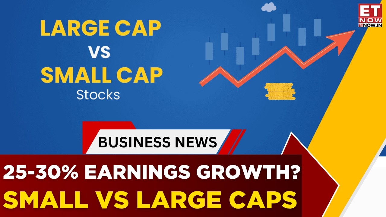 Small-cap против Large-cap: почему Джитендра Гохил видит основные возможности за пределами индекс...