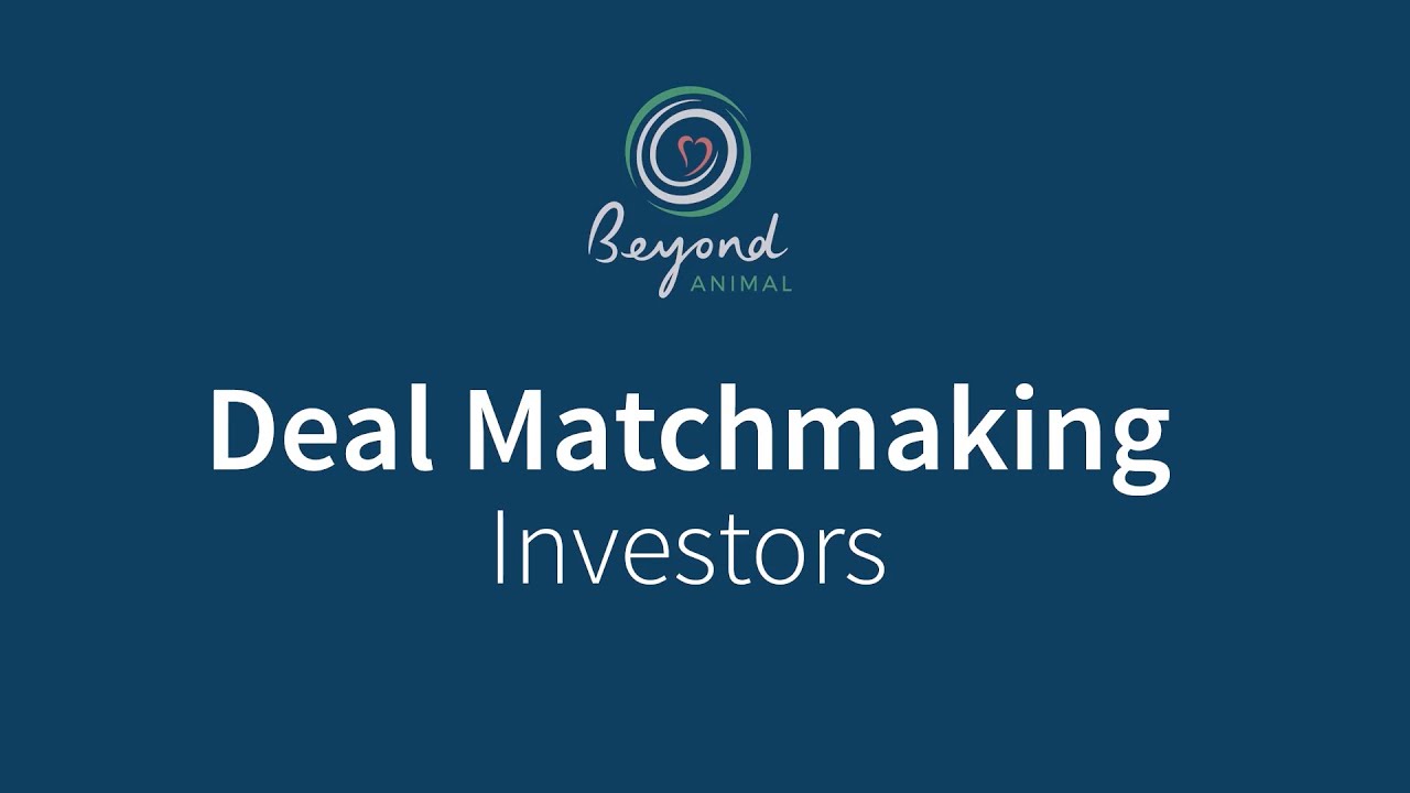 Deal Matchmaking | Investor View