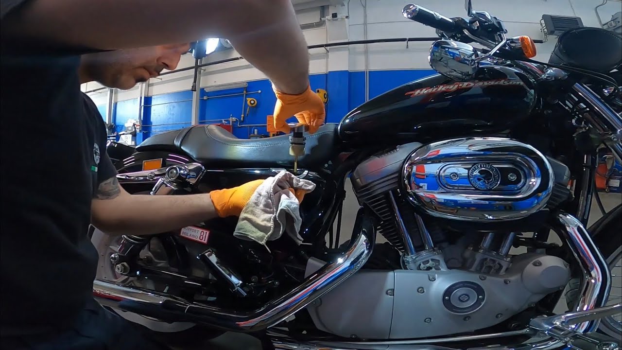 Harley Davidson 883 cambio olio motore filtro + candele
