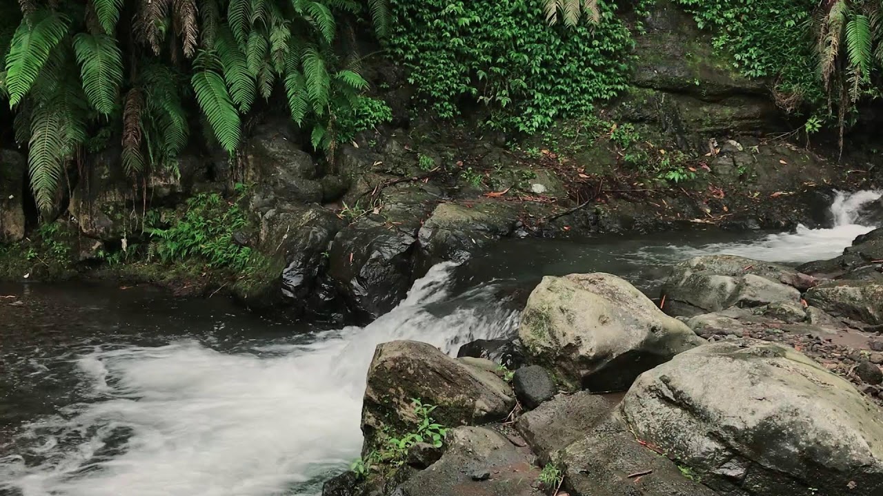 Nature White Noise for Mental Clarity, Zen, Anxiety Relief