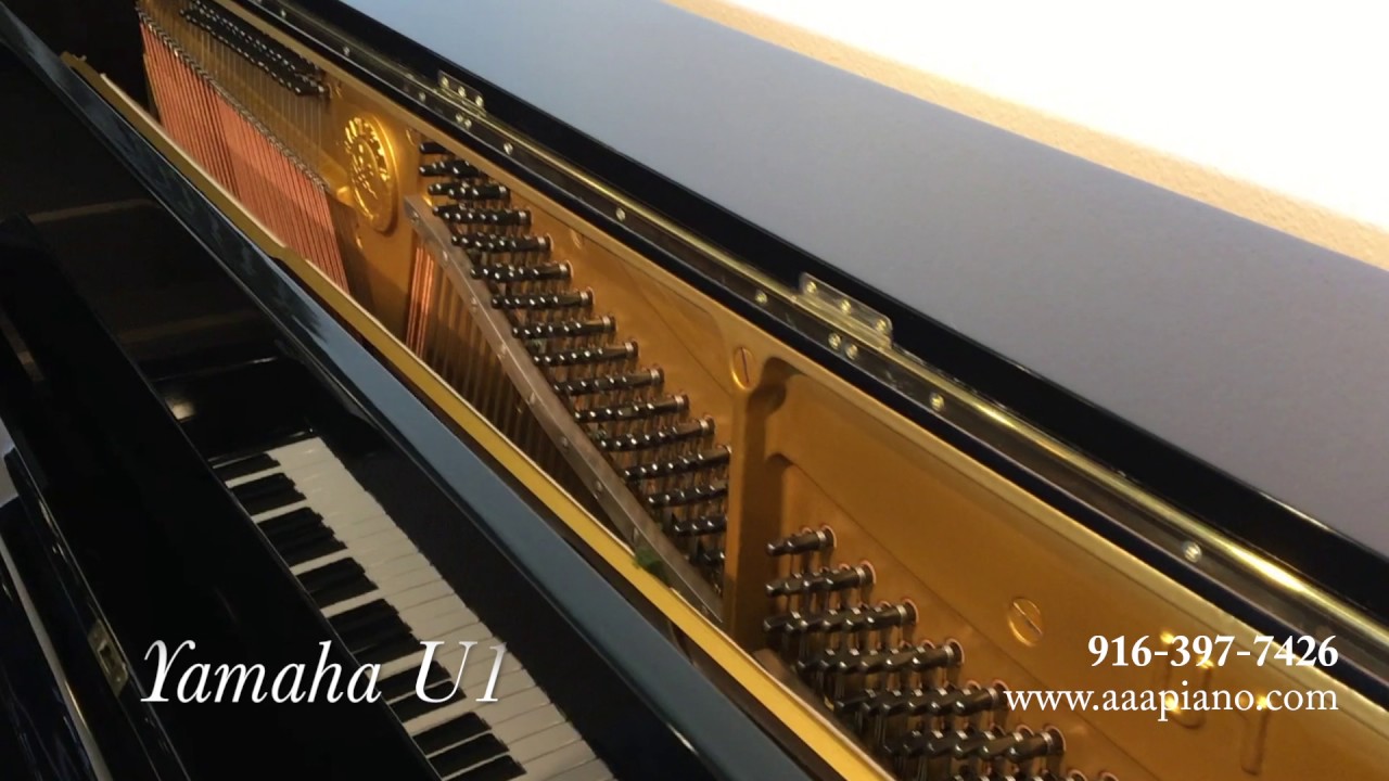 Yamaha U1 Upright Piano | AAA Piano