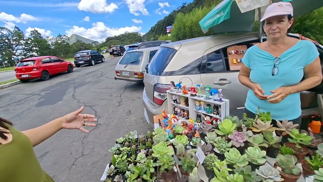 Teresópolis parte 4/2025