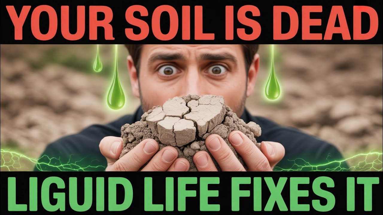 Dead Soil? Wake It Up FAST With Liquid Life | Revive Soil Biology Naturally
