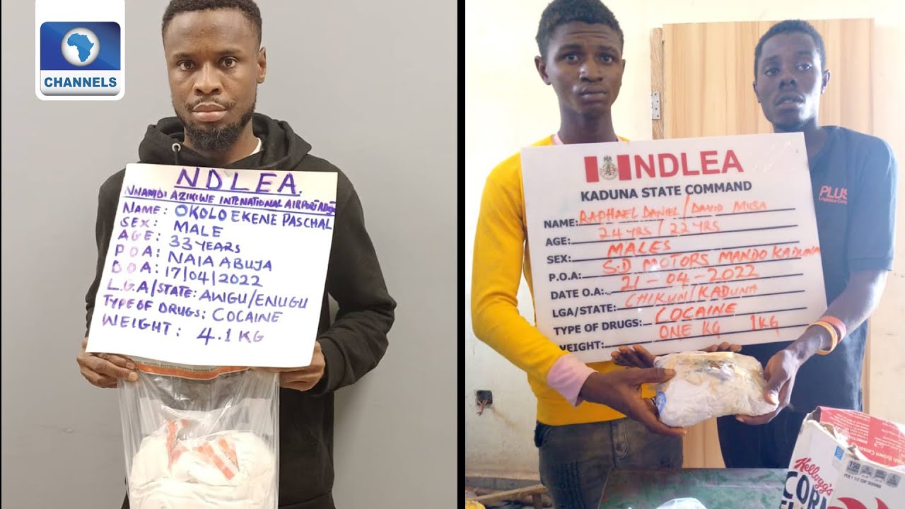 NDLEA Seizes Cocaine In Teabags, Arrests Traffickers At Lagos, Abuja Airports