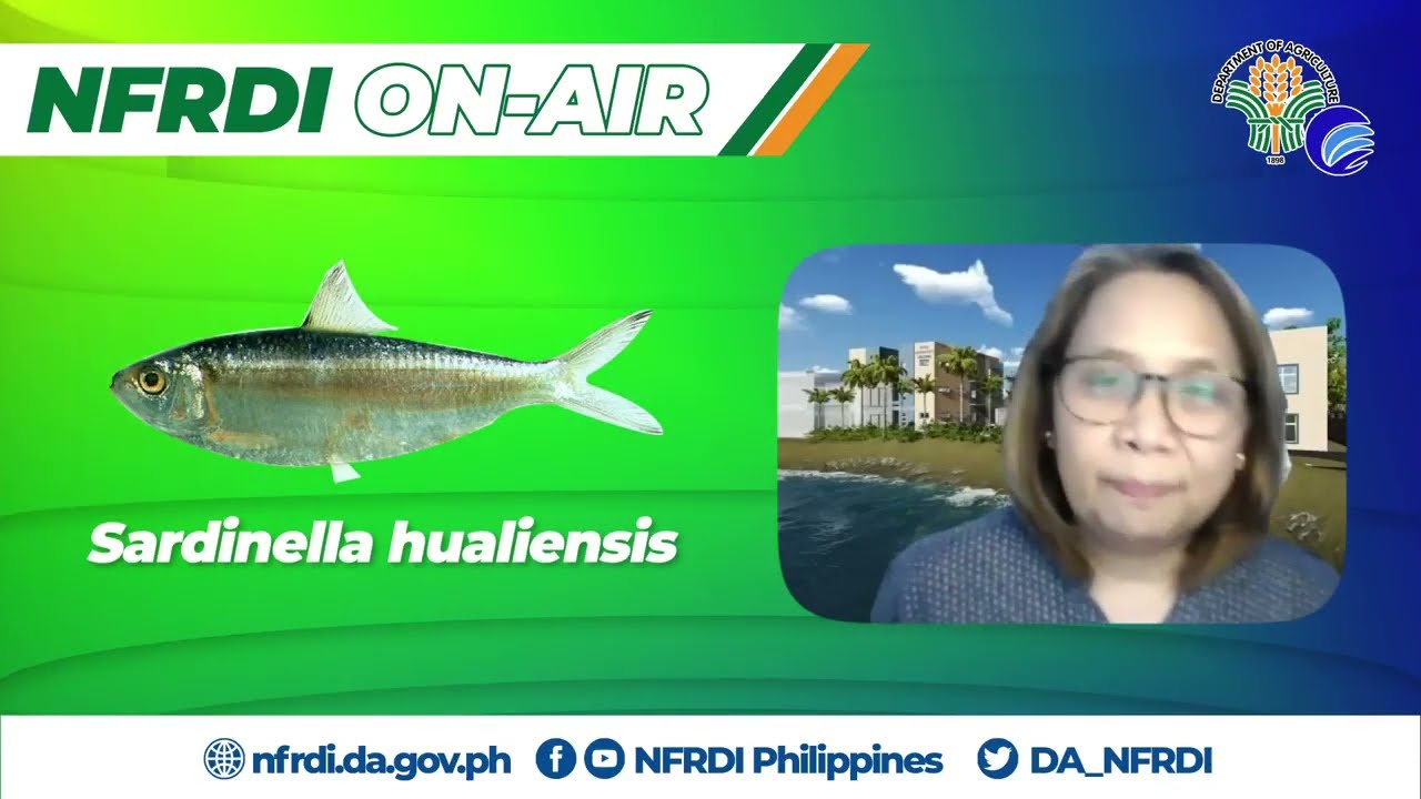 NFRDI On Air Episode 5 Tawilis Conservation with Dr  Maria Theresa Mutia
