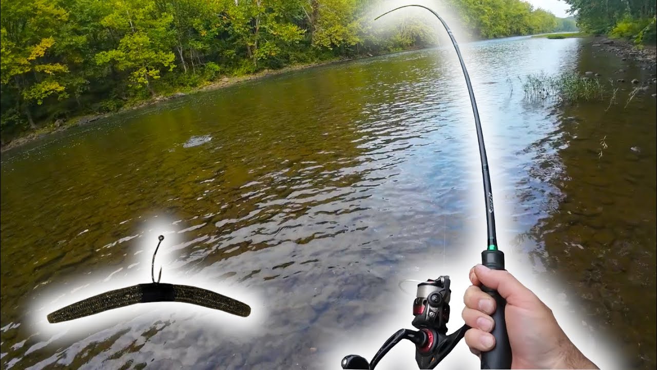 Best way to throw the WEIGHTLESS WACKY RIG??? | I'm not so sure...| Yough river smallmouth |