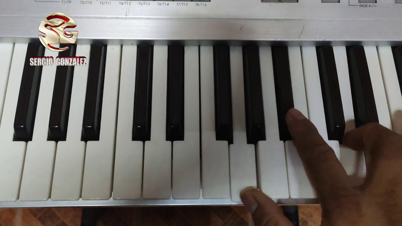 Servicio y mantenimiento de instrumentos musicales 