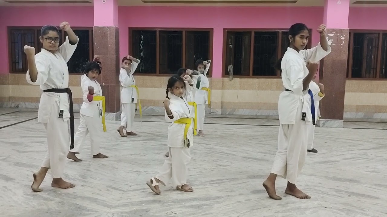 All dachi (seigokai) for beginners..... 💪