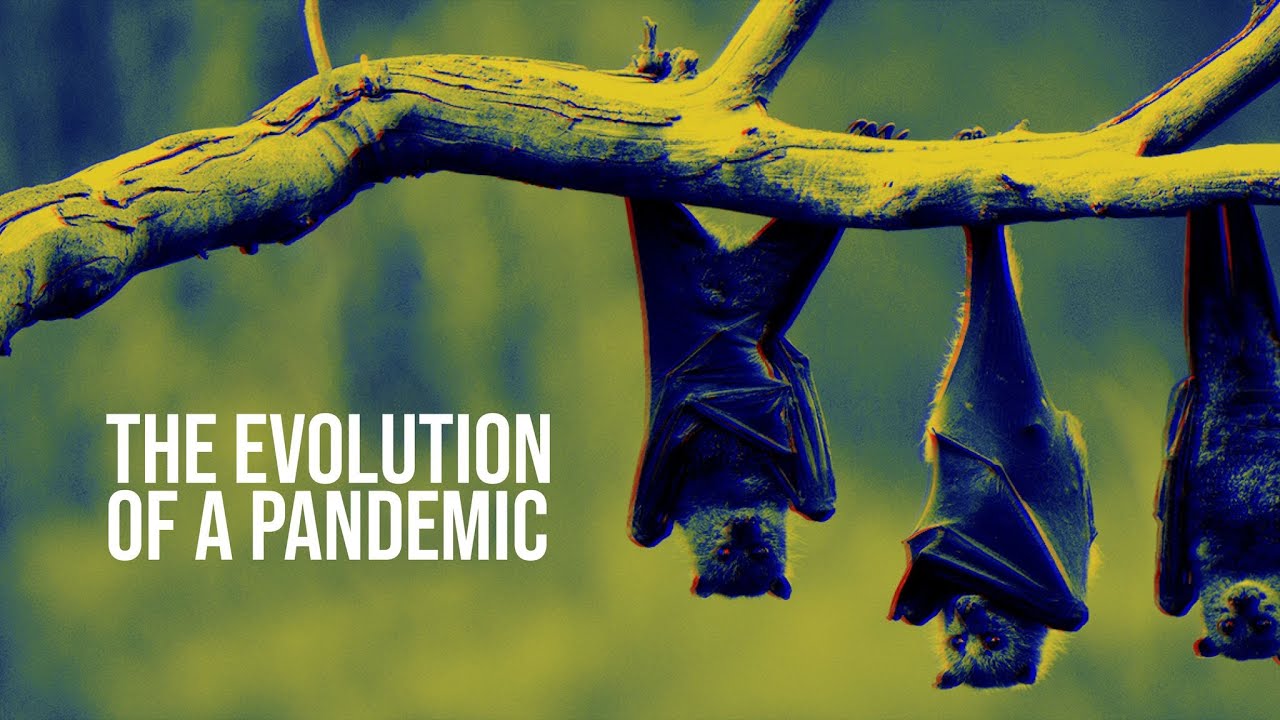 The evolution of a pandemic: incontro con David Quammen