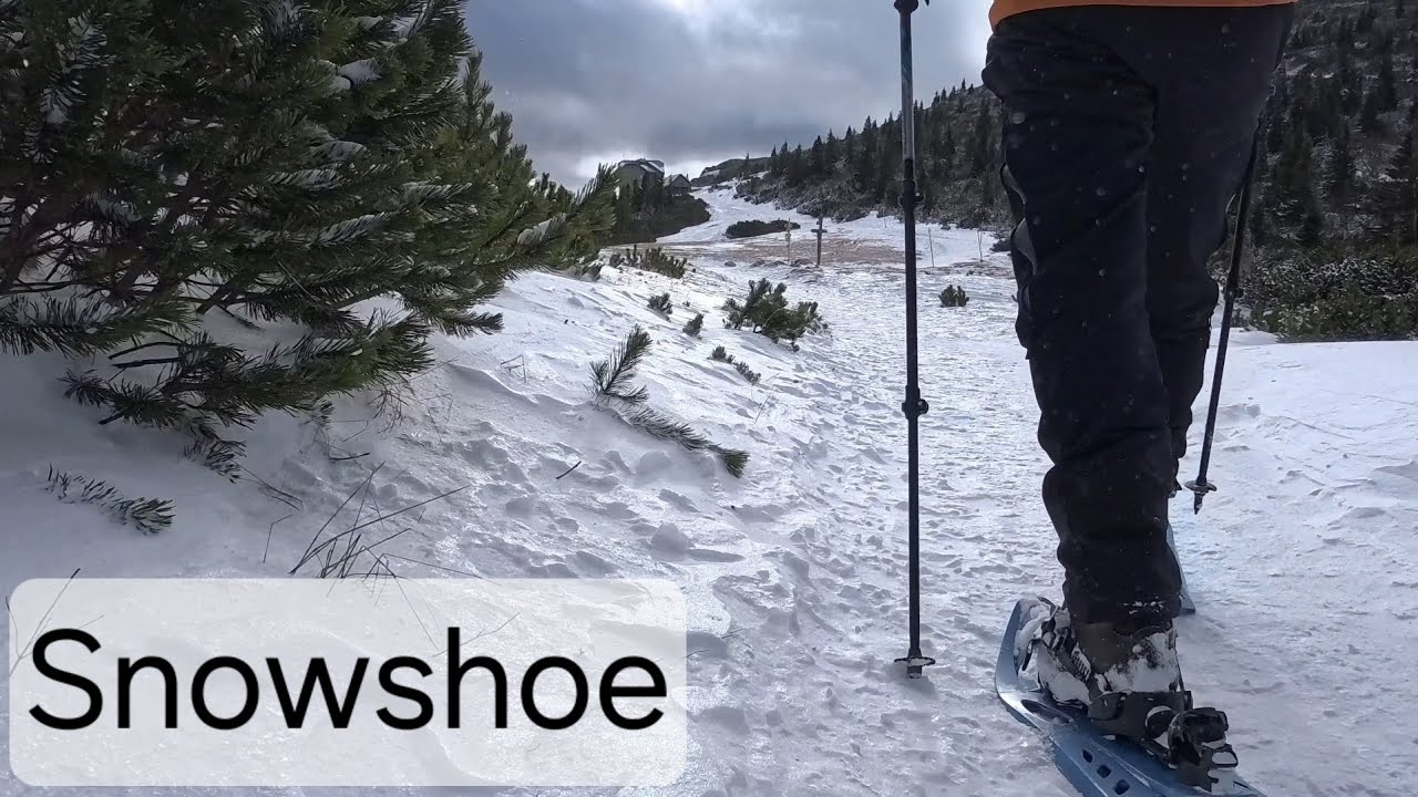 Rax - Jakobskogel ❄️ - 20260110 - 9km - 387m