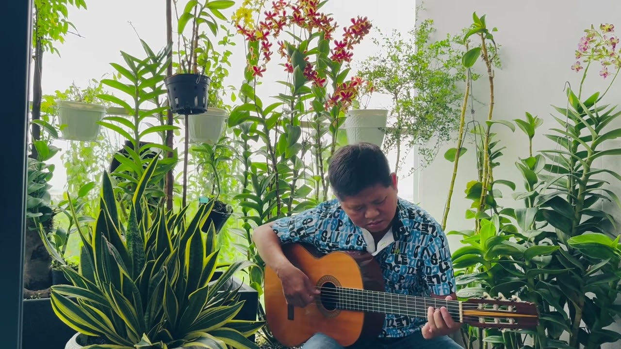 Lưu Bút Ngày Xanh Guitar cover | Sáng tác: Thanh Sơn | Thien An Guitar