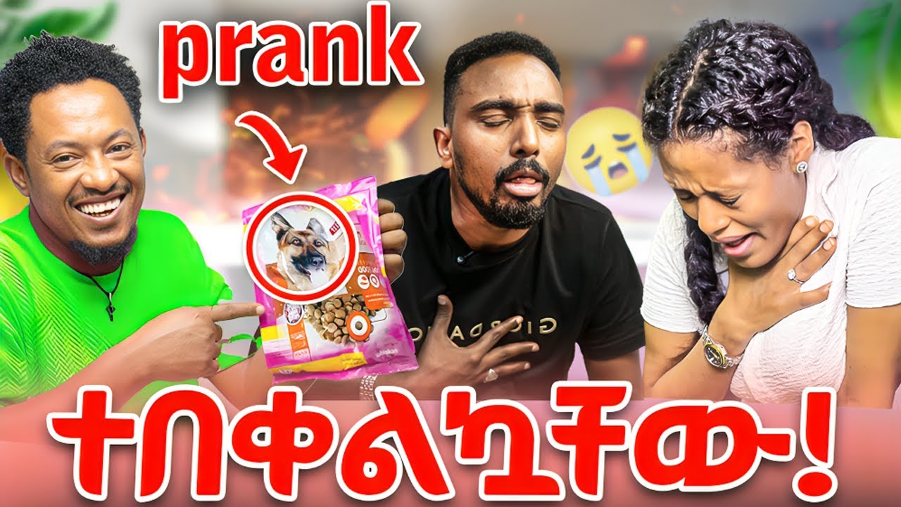 አደገኛ የበቀል Prank  😂 ብሬክስ እና መሲ  የውሻ ምግብ  አበላኋቸው 🙈
