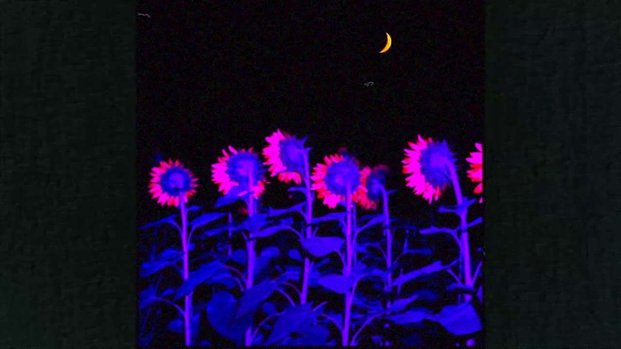 free) title fight x melancholic shoegaze x whirr type beat - 