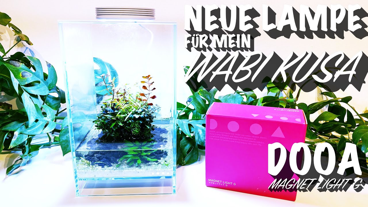 Neue Lampe für mein Wabi Kusa - DOOA Magnet Light G