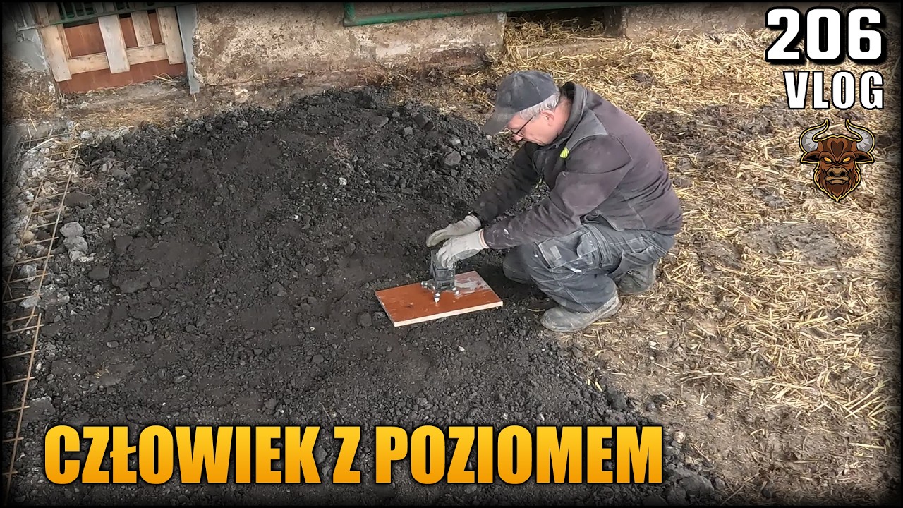 Szefu i krótki instruktaż szalowania. Kolejny etap lania betonu w oborze | Vlog #206
