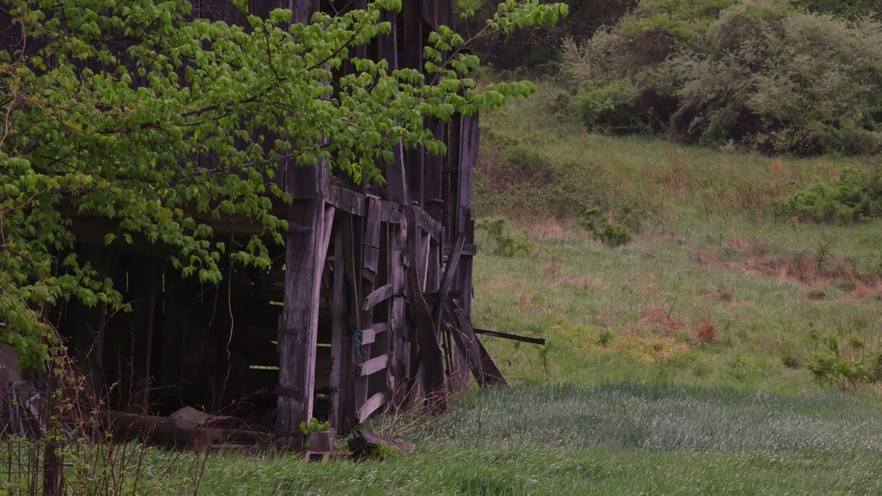 10 Hours of Quiet Farm Ambience 🌾 | Rustic Barn Sounds for Sleep & Relaxation