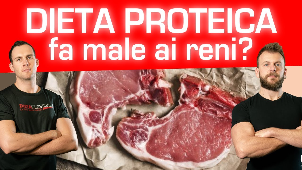 Dieta proteica fa male ai reni?