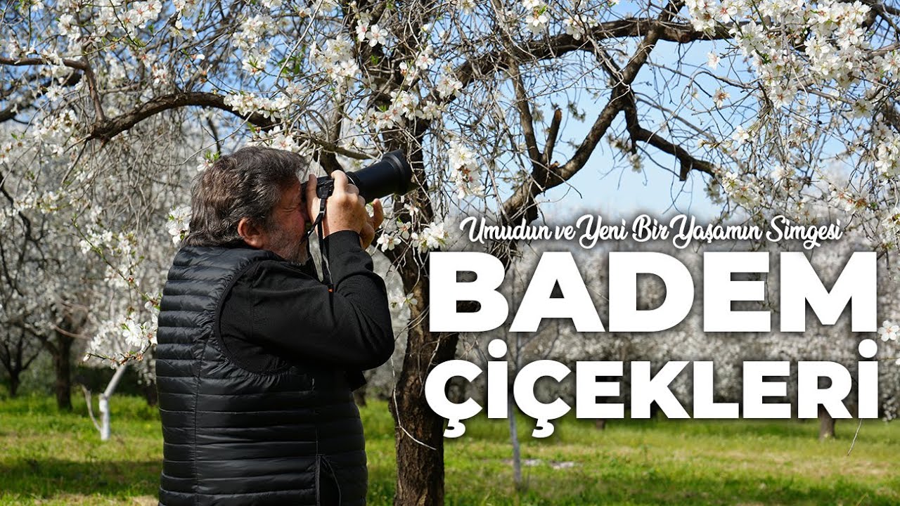 BADEM ÇİÇEKLERİ · Umudun ve Yeni Bir Yaşamın Simgesi