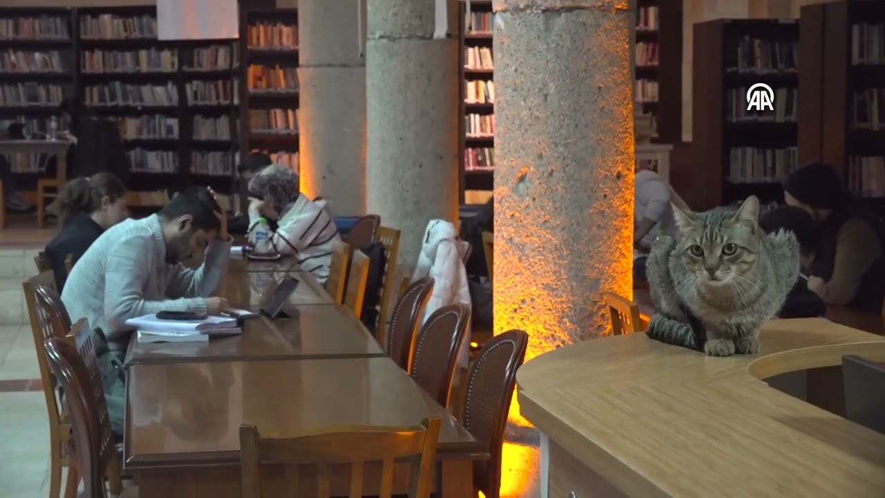 Tarihi kiliseye taşınan kütüphane 16 ayda 65 binden fazla kitapseveri ağırladı