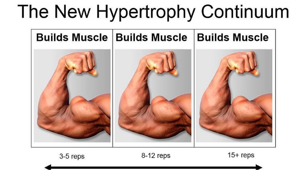 How Many Reps to Build Muscle? Dr. Brad Schoenfeld